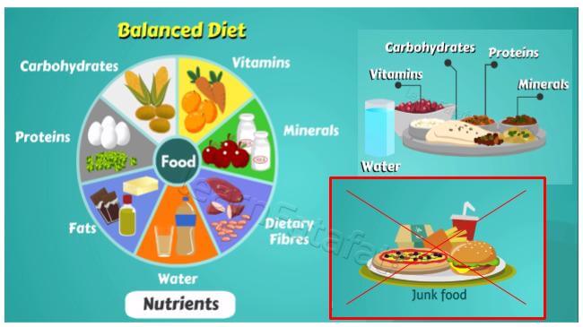 Hiểu thêm về chế độ dinh dưỡng giảm cân ăn kiêng